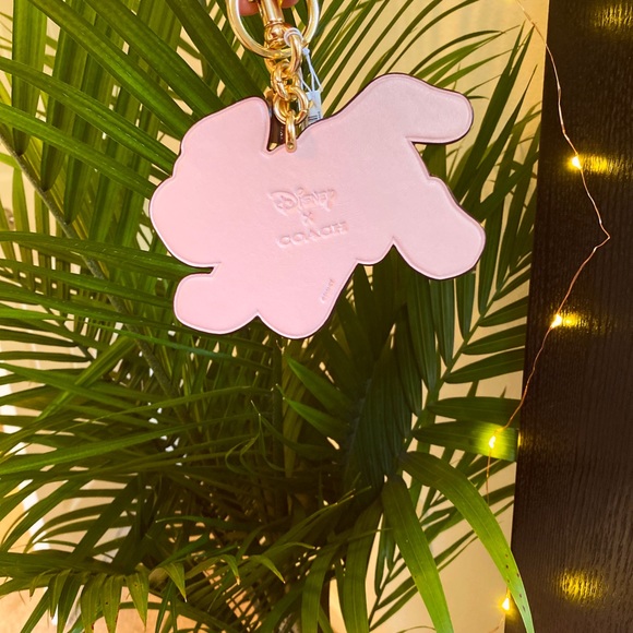 Limited Edition Dalmatian Coach Keychain - Picture 2 of 8